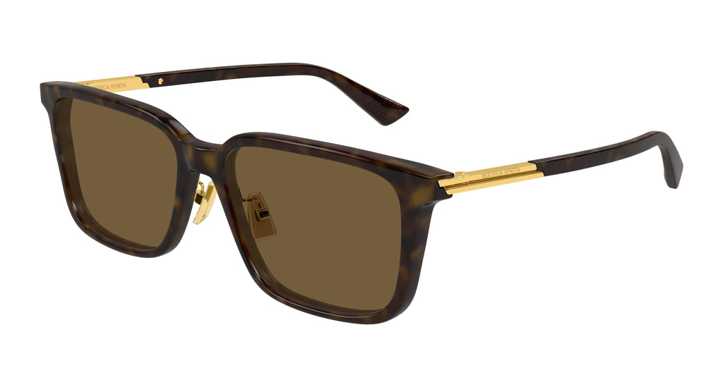 Bottega Veneta BV1374SK 006