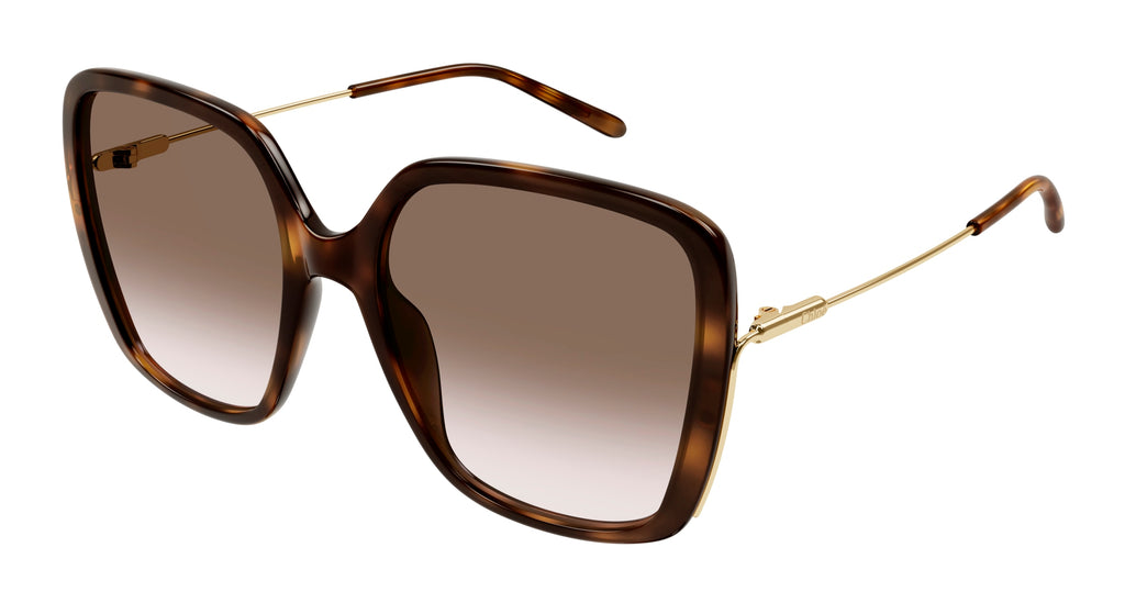 Chloé CH0173S 002
