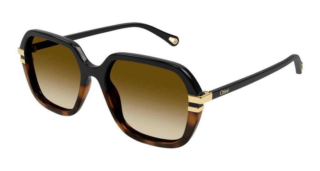 Chloé CH0204S 003