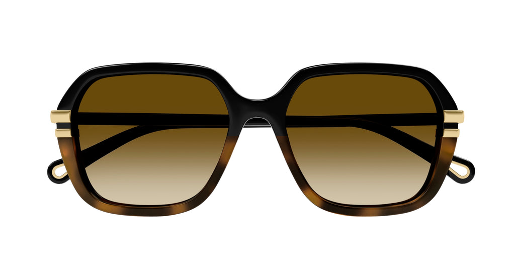 Chloé CH0204S 003