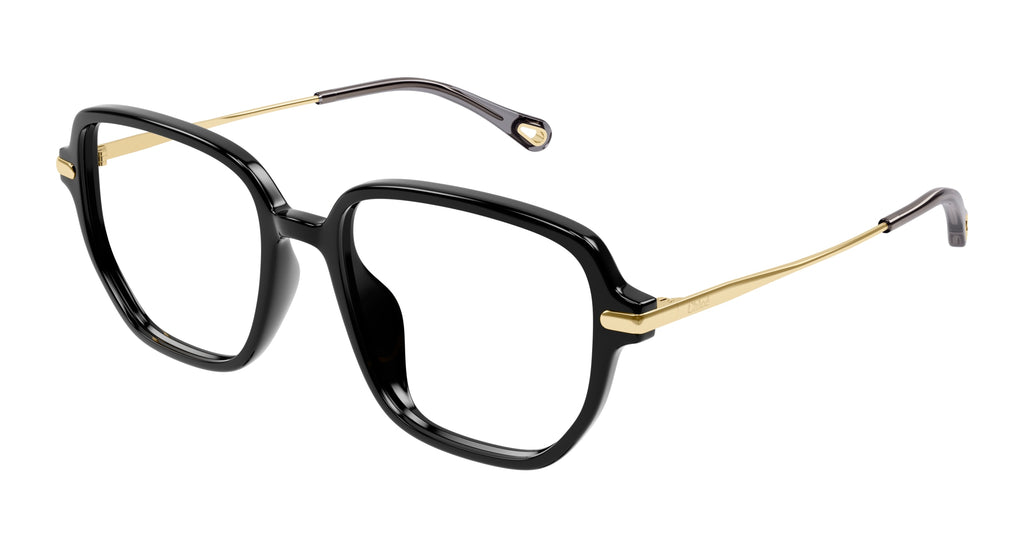 Chloé CH0218OA 001
