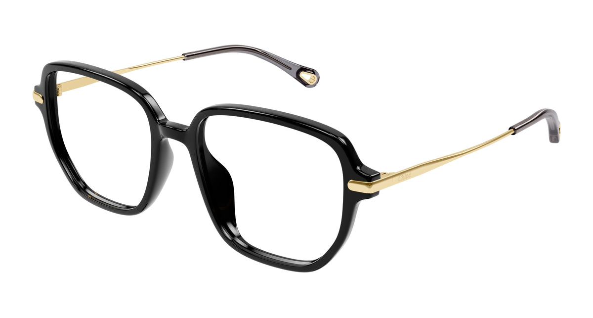 Chloé CH0218OA 001