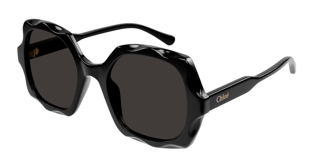 Chloé CH0226S 005