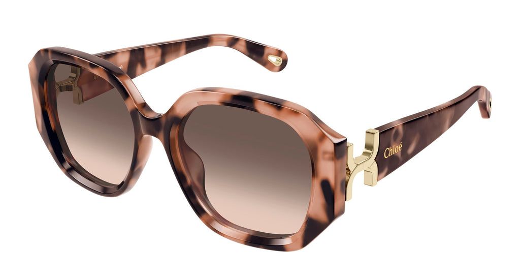 Chloé CH0236S 005