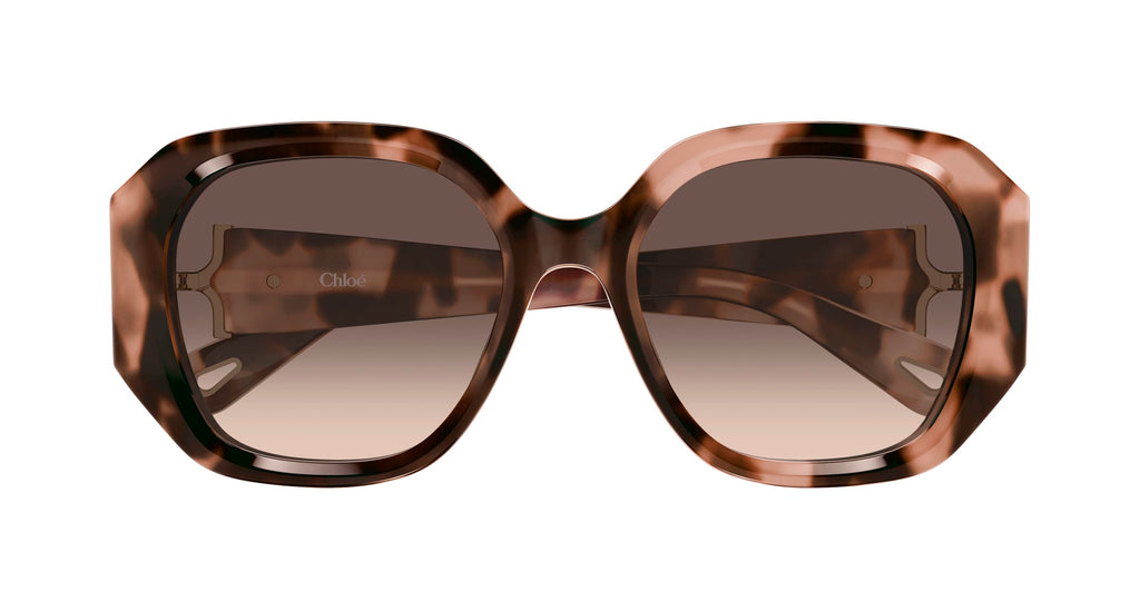 Chloé CH0236S 005