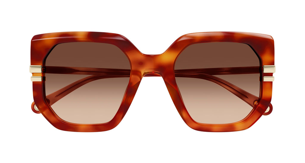 Chloé CH0240S 007