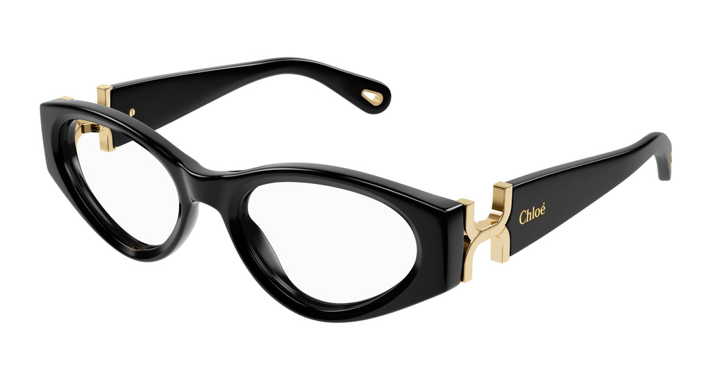 Chloé CH0273O 001