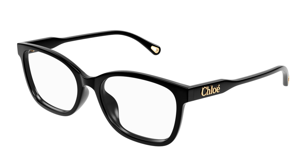Chloé CH0276OA 001