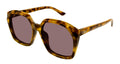 Chloé CH0280S 004