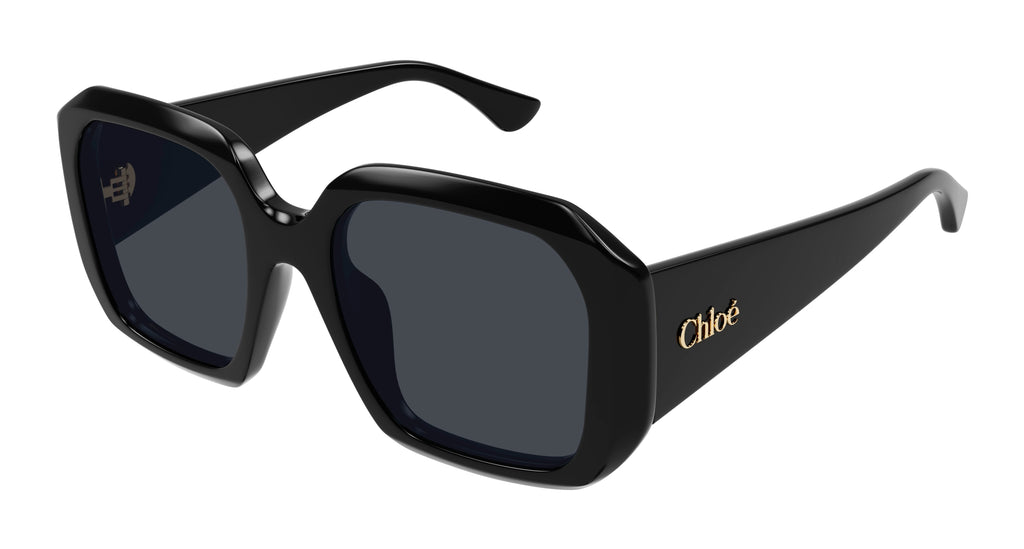 Chloé CH0300S 001