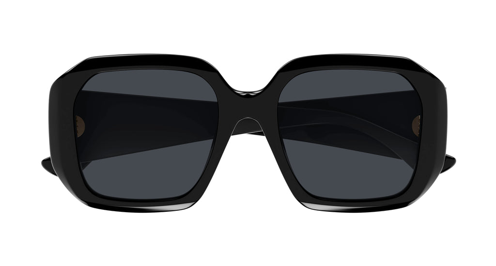 Chloé CH0300S 001