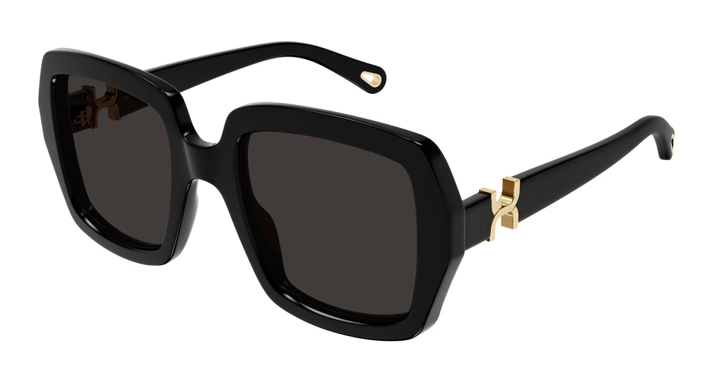Chloé CH0301S 001