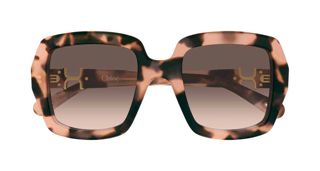 Chloé CH0301S 006