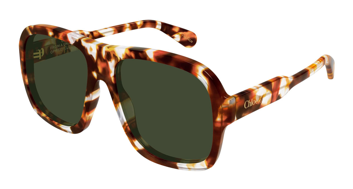 Chloé CH0331S 004