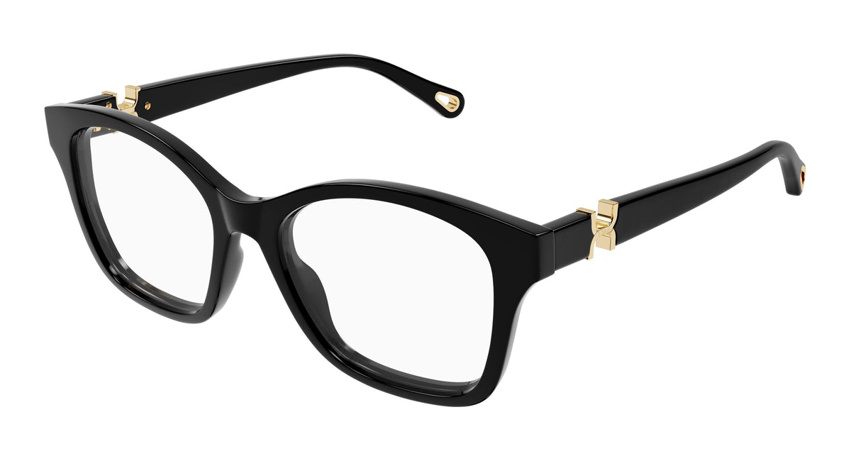 Chloé CH0334O 006
