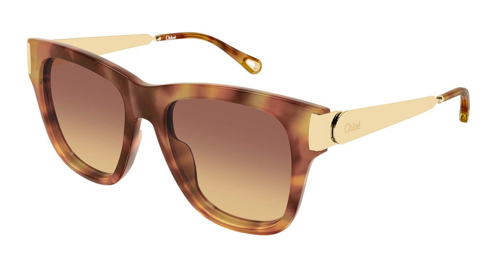 Chloé CH0349S 002