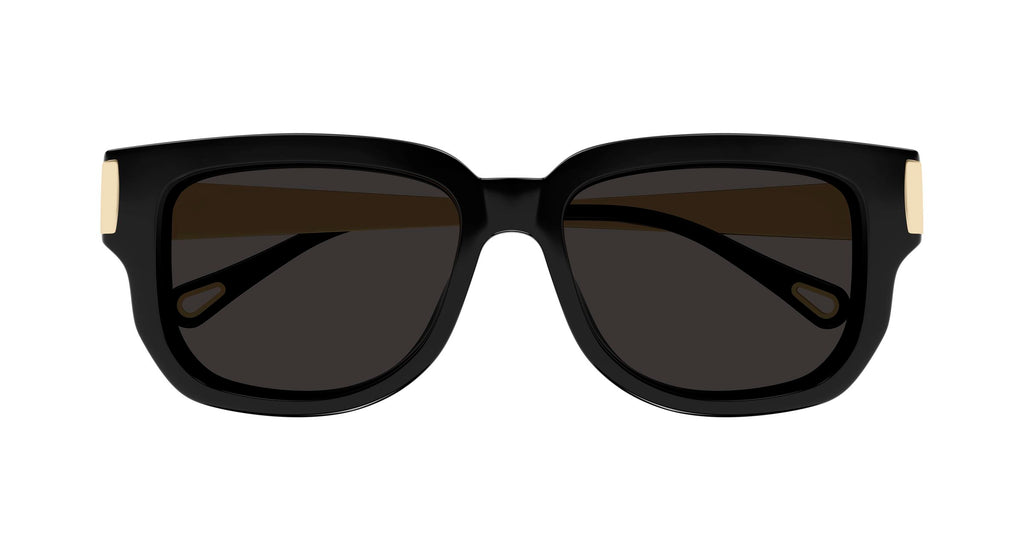 Chloé CH0351S 001