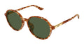 Chloé CH0365SK 004
