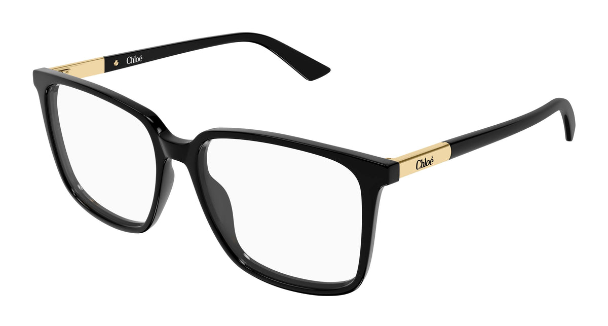 Chloé CH0369O 001