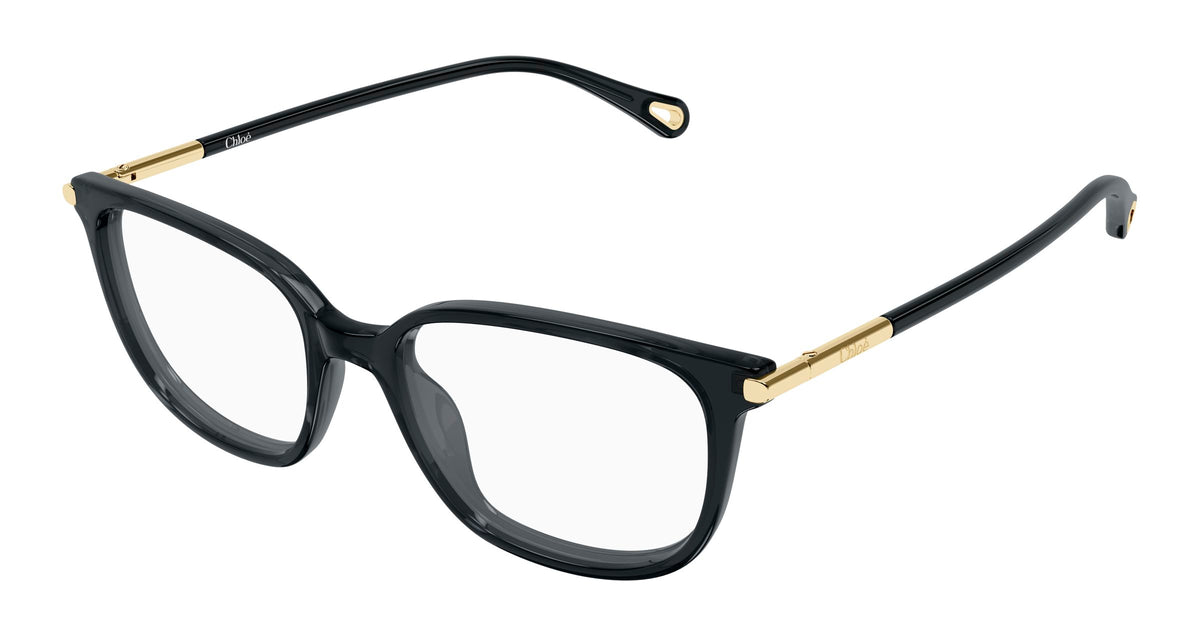 Chloé CH0400O 001