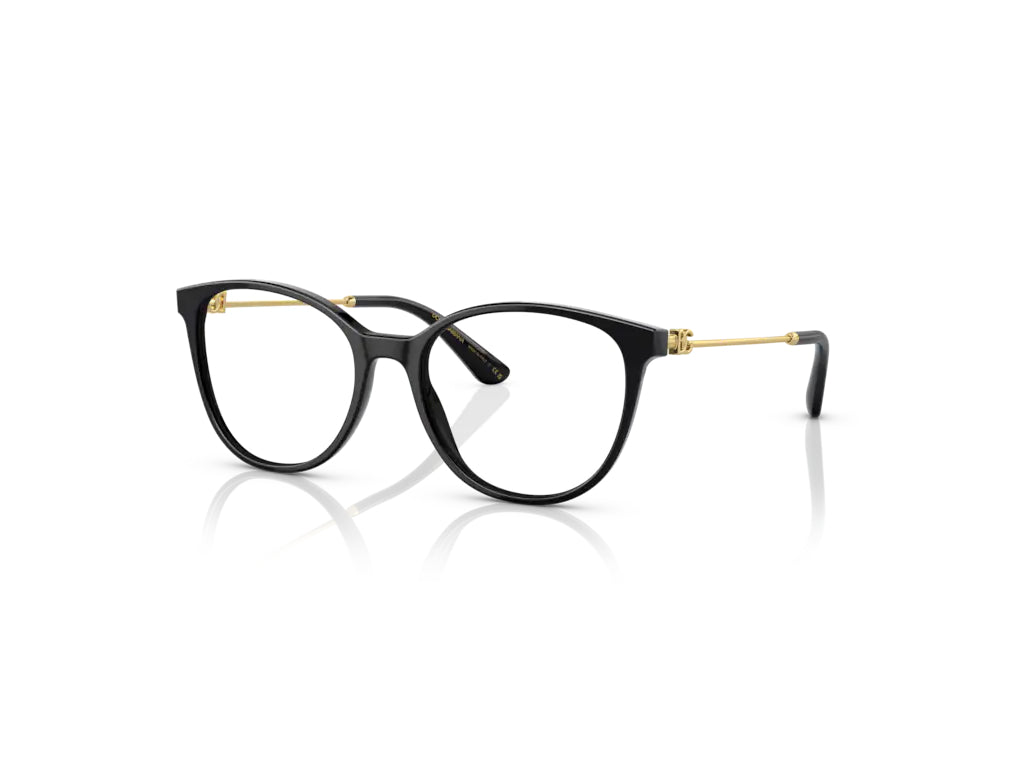Dolce & Gabbana DG3363 501