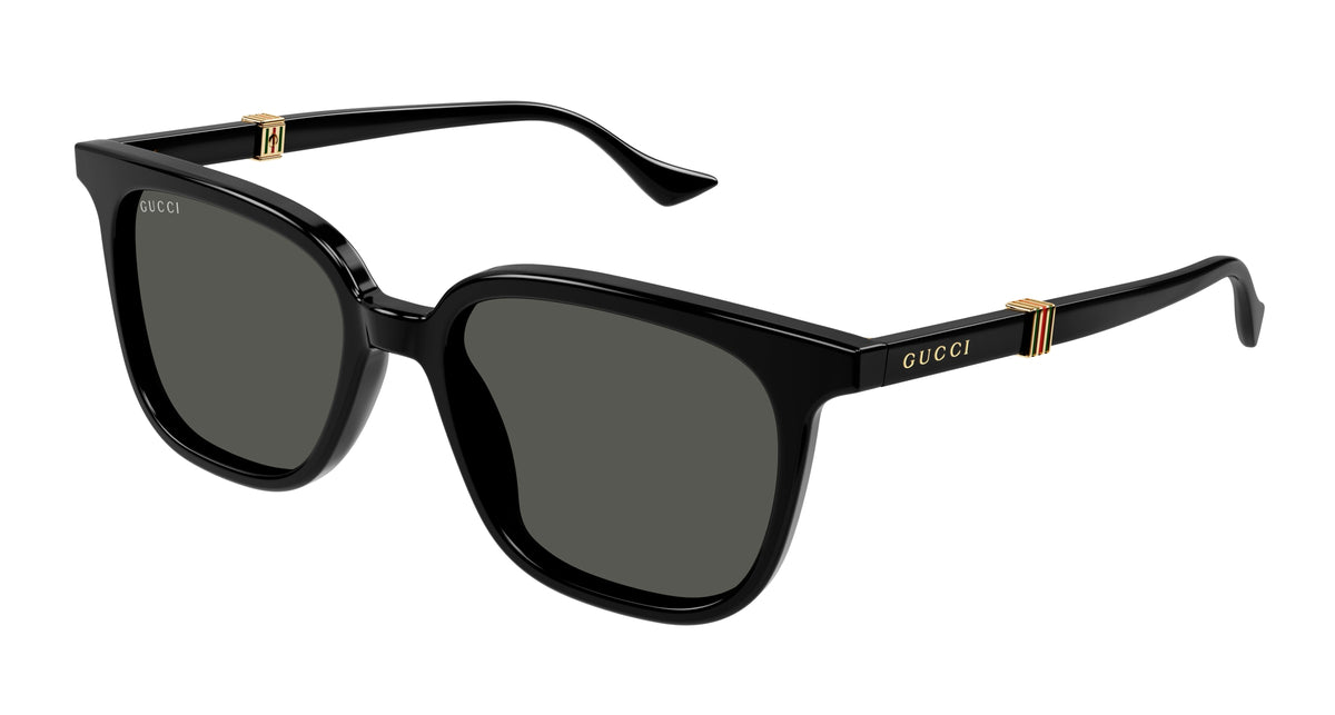 Gucci GG1493S 001