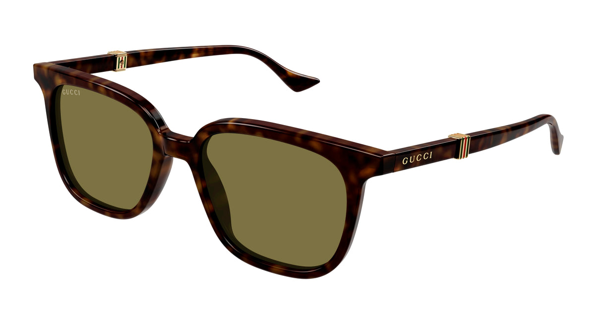 Gucci GG1493S 002