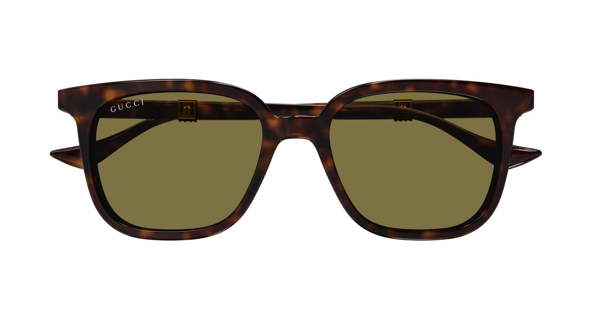 Gucci GG1493S 002