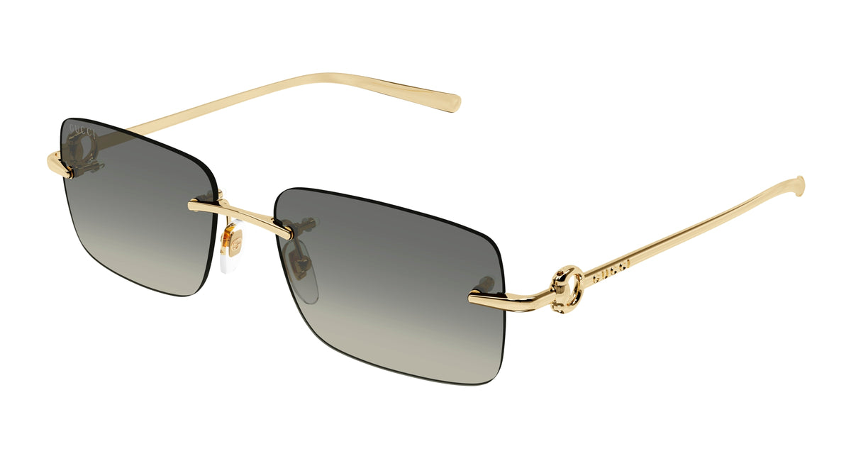 Gucci GG1703S 005