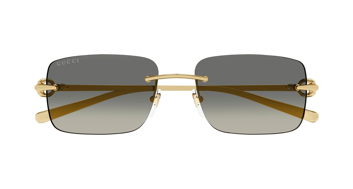 Gucci GG1703S 005