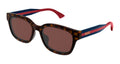 Gucci GG1872SK 002
