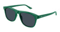 Gucci GG1893S 005