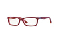 Ray - Ban RY1534 3590