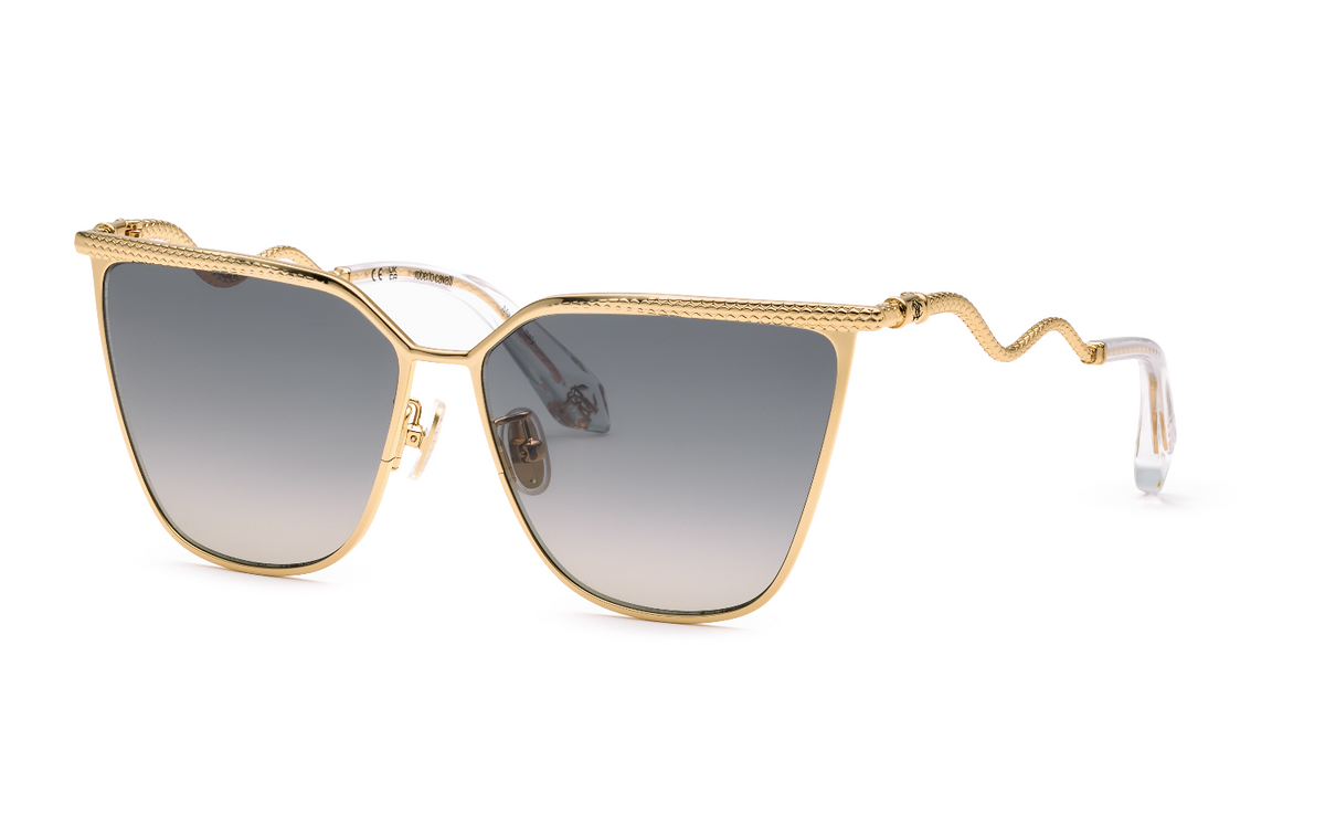 Roberto Cavalli SRC133M 300