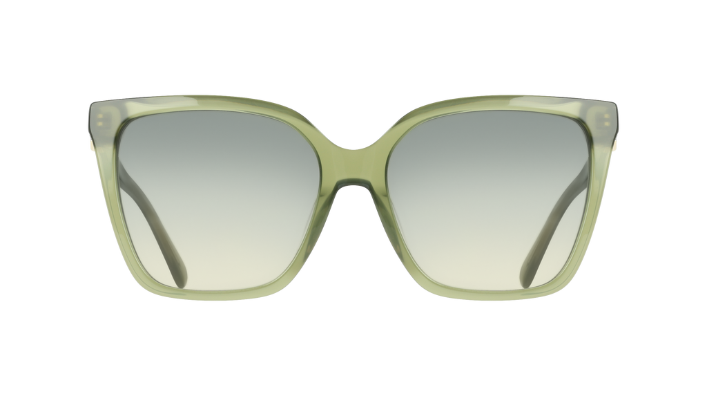 Ferragamo SF2121S 333