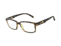 Arnette AN7175 BIXIGA 2375