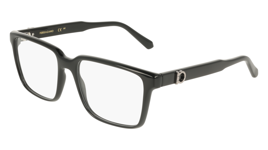 Ferragamo SF3028E 001