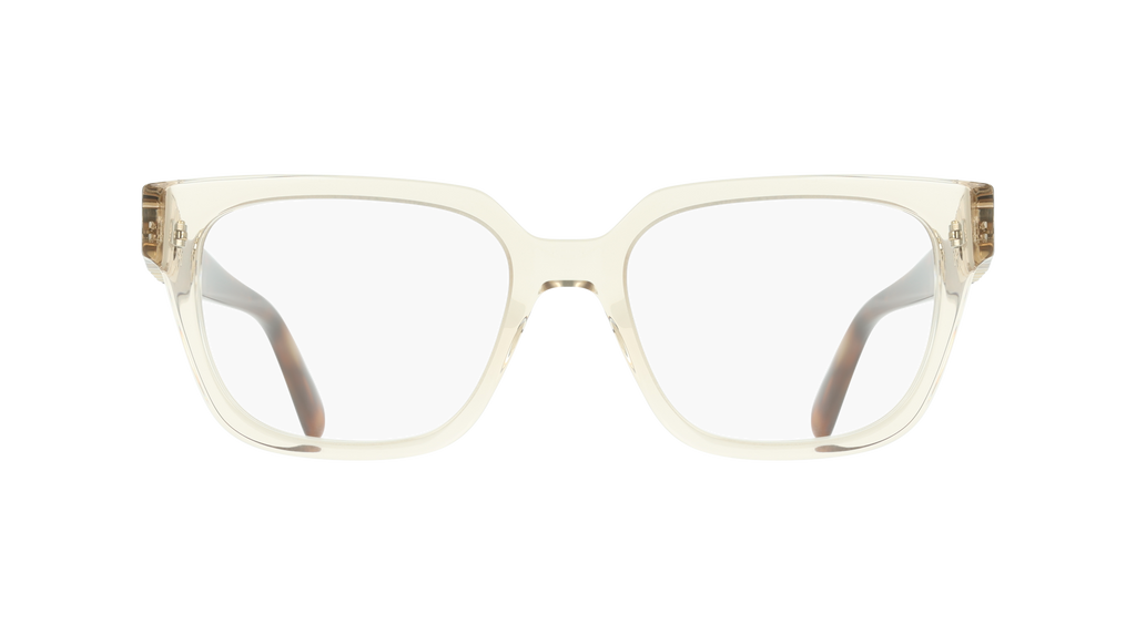 Ferragamo SF3056 259