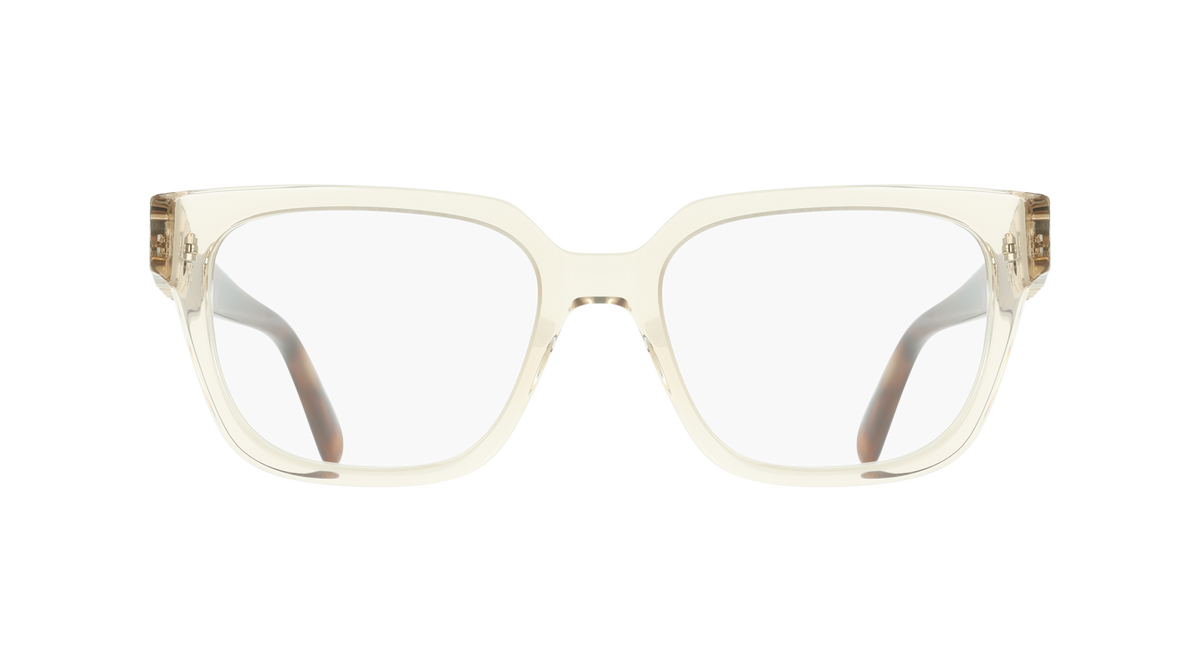 Ferragamo SF3056 259
