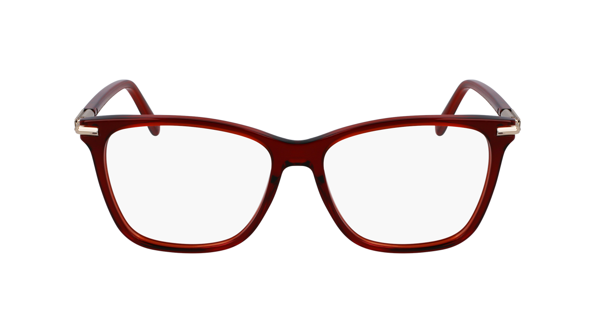 Ferragamo SF3013 616