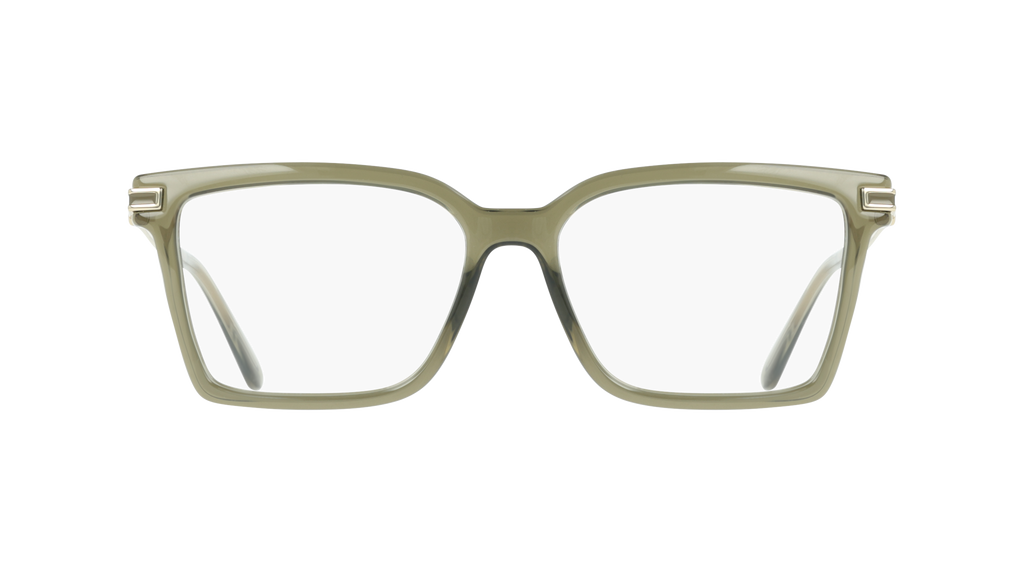 Ferragamo SF3039 320