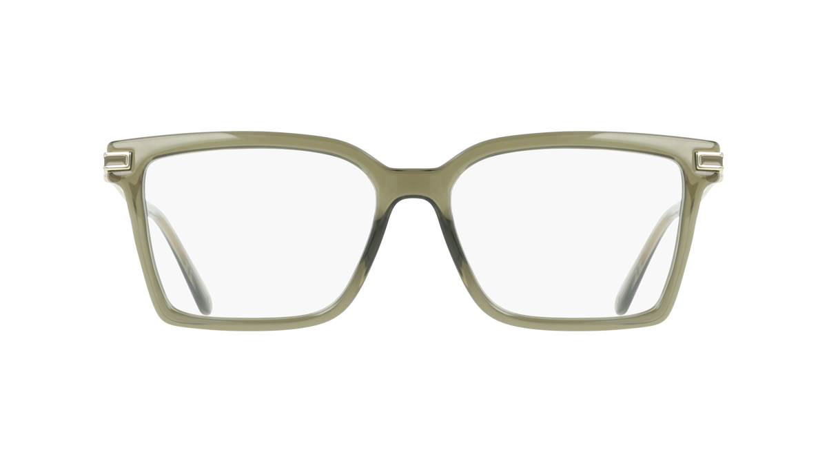Ferragamo SF3039 320