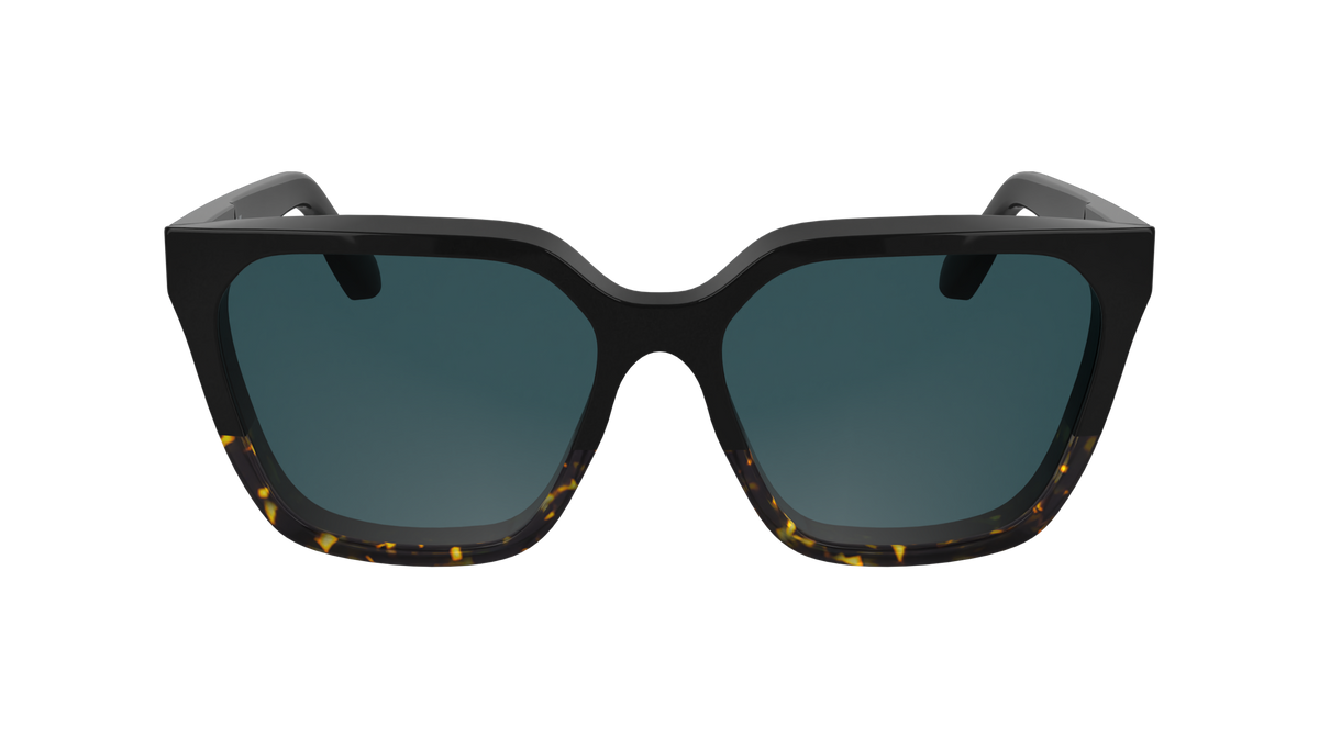 Calvin Klein CK25500S 006