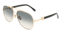 Ferragamo SF344S 738