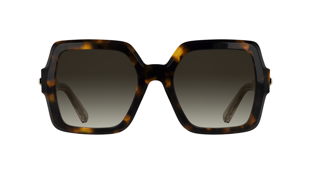 LONGCHAMP LO790S 231