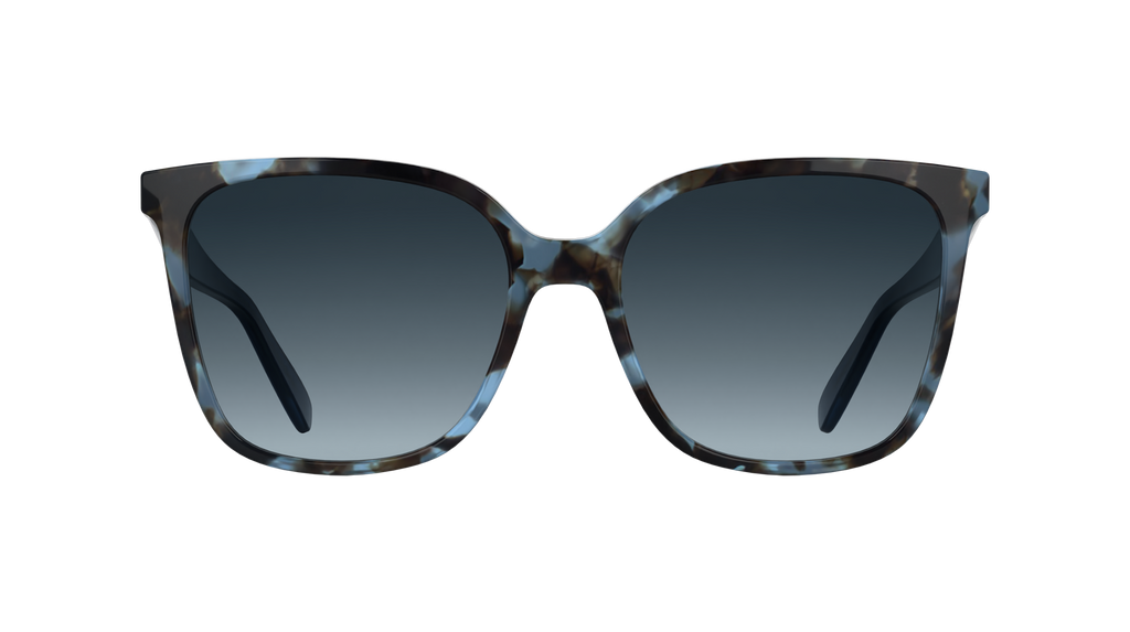 LONGCHAMP LO807S 438