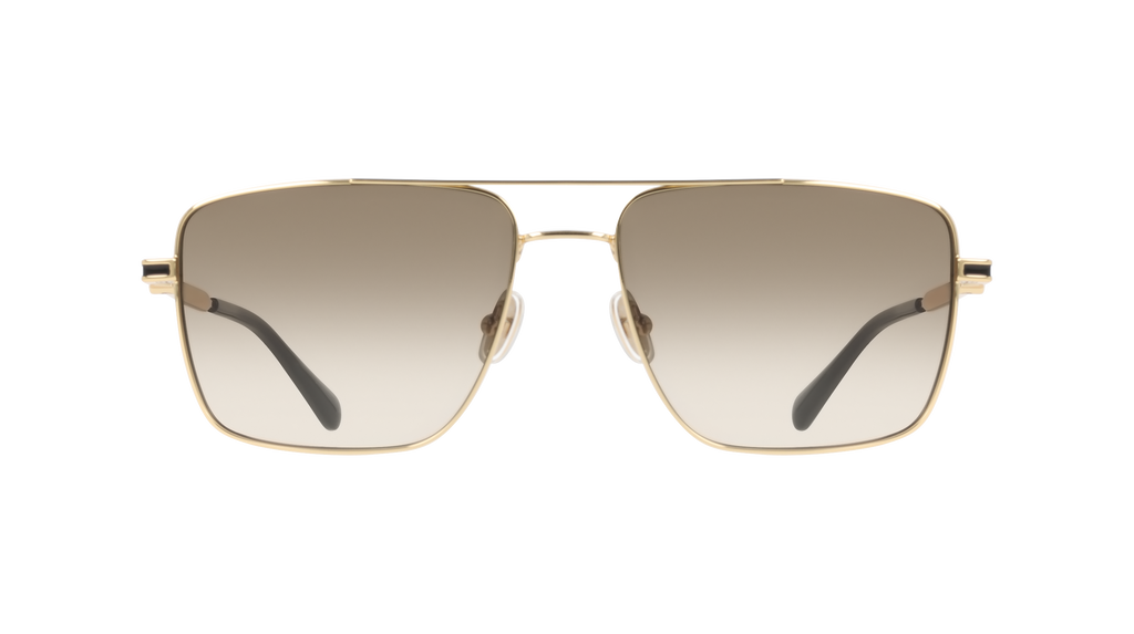 Ferragamo SF329SLBI 710