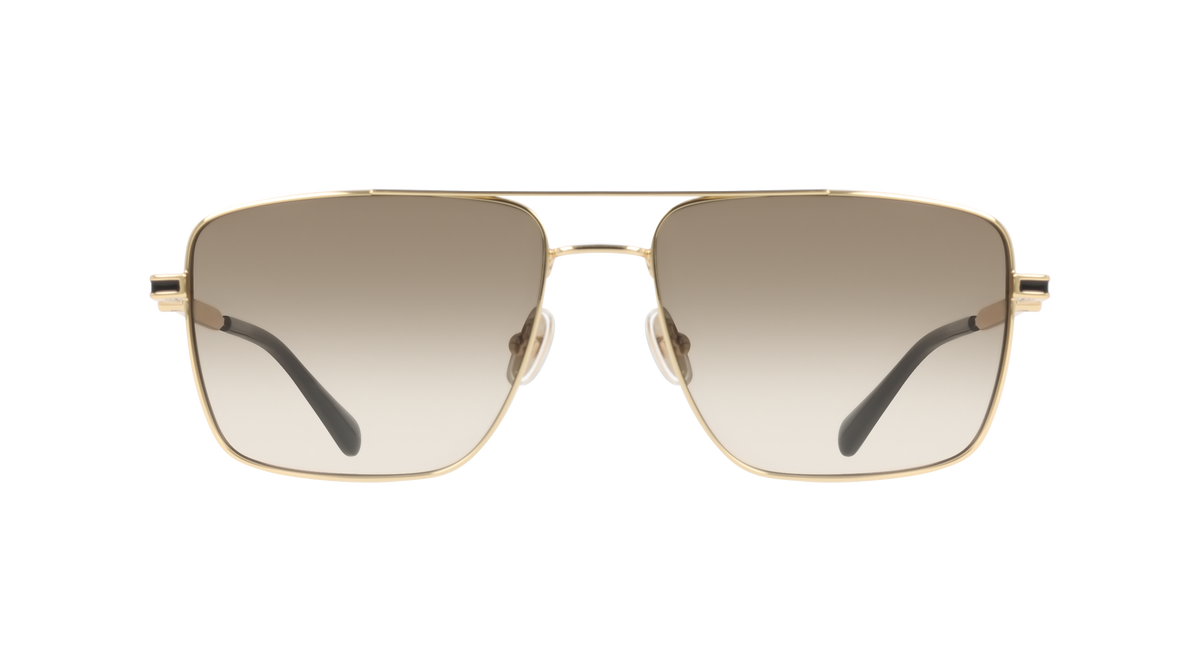 Ferragamo SF329SLBI 710