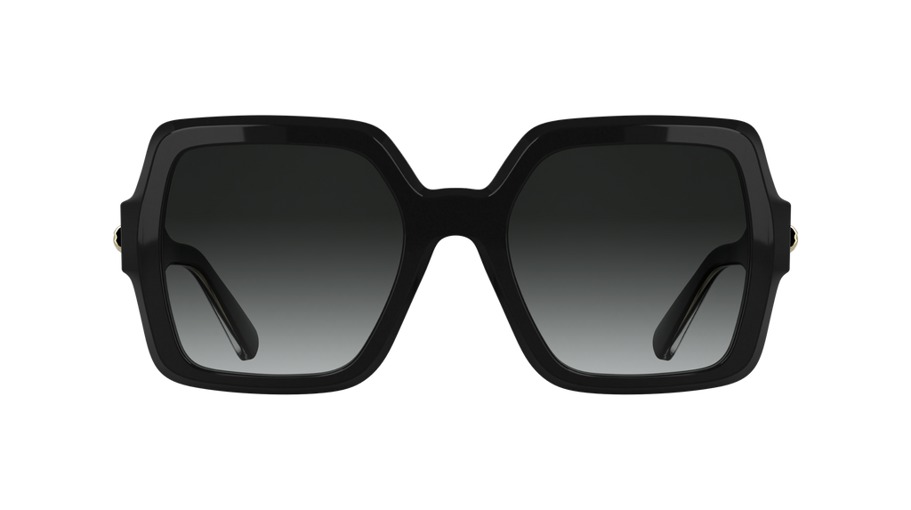 LONGCHAMP LO790S 001