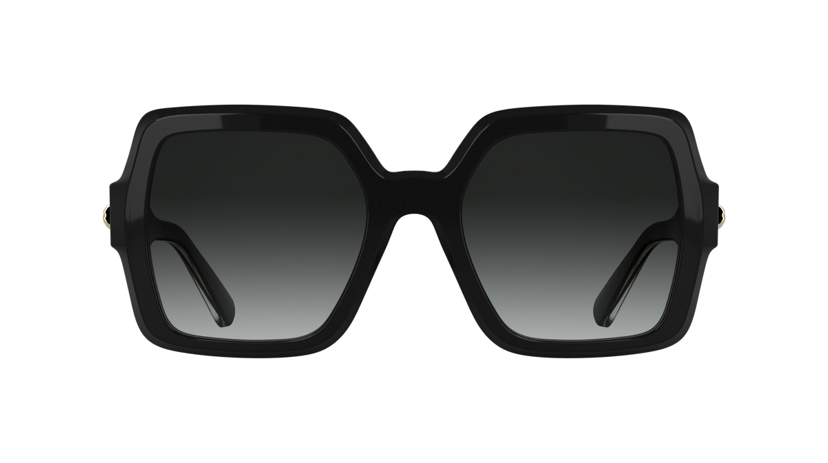 LONGCHAMP LO790S 001